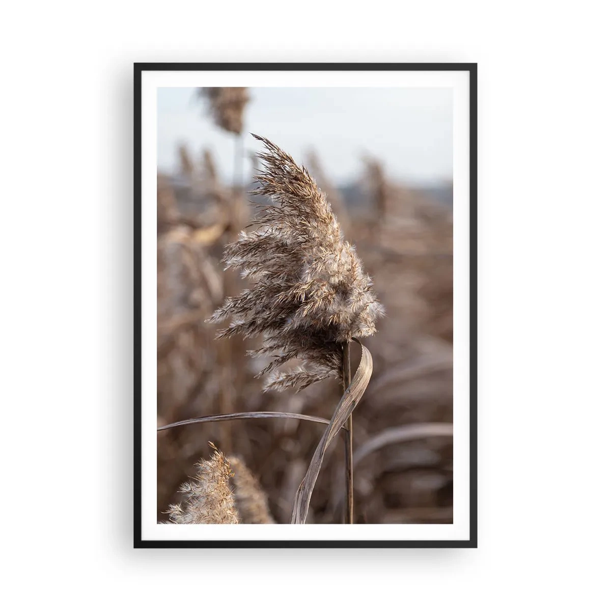 Plakat w czarnej ramie - Czas odlecieć z wiatrem - 70x100 cm