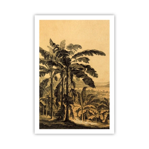 Plakat - w kolonialnym klimacie - 61x91 cm