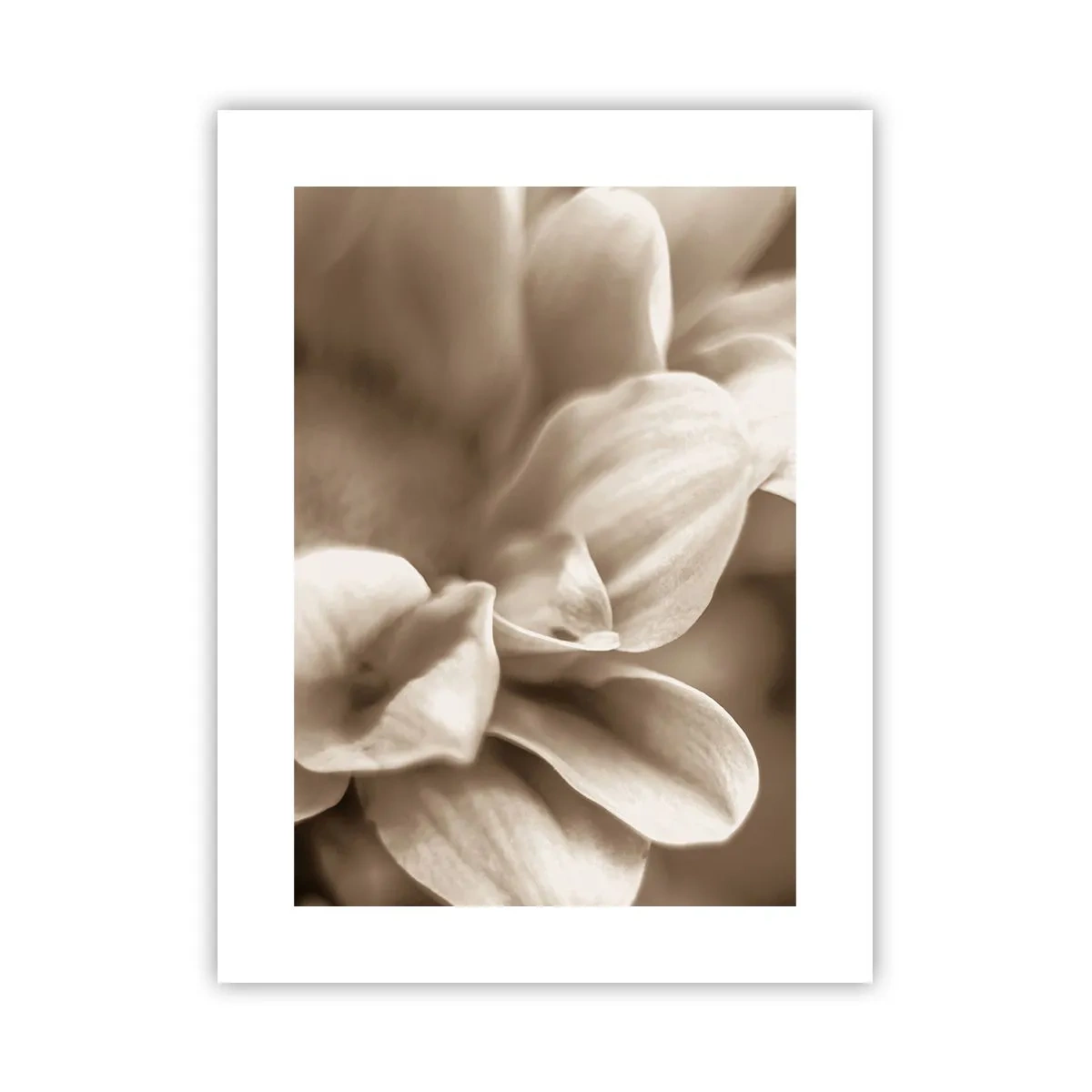 Plakat - Łagodne jak uśmiech - 30x40 cm