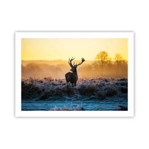 Plakat - Koronowany na swoich włościach - 70x50 cm