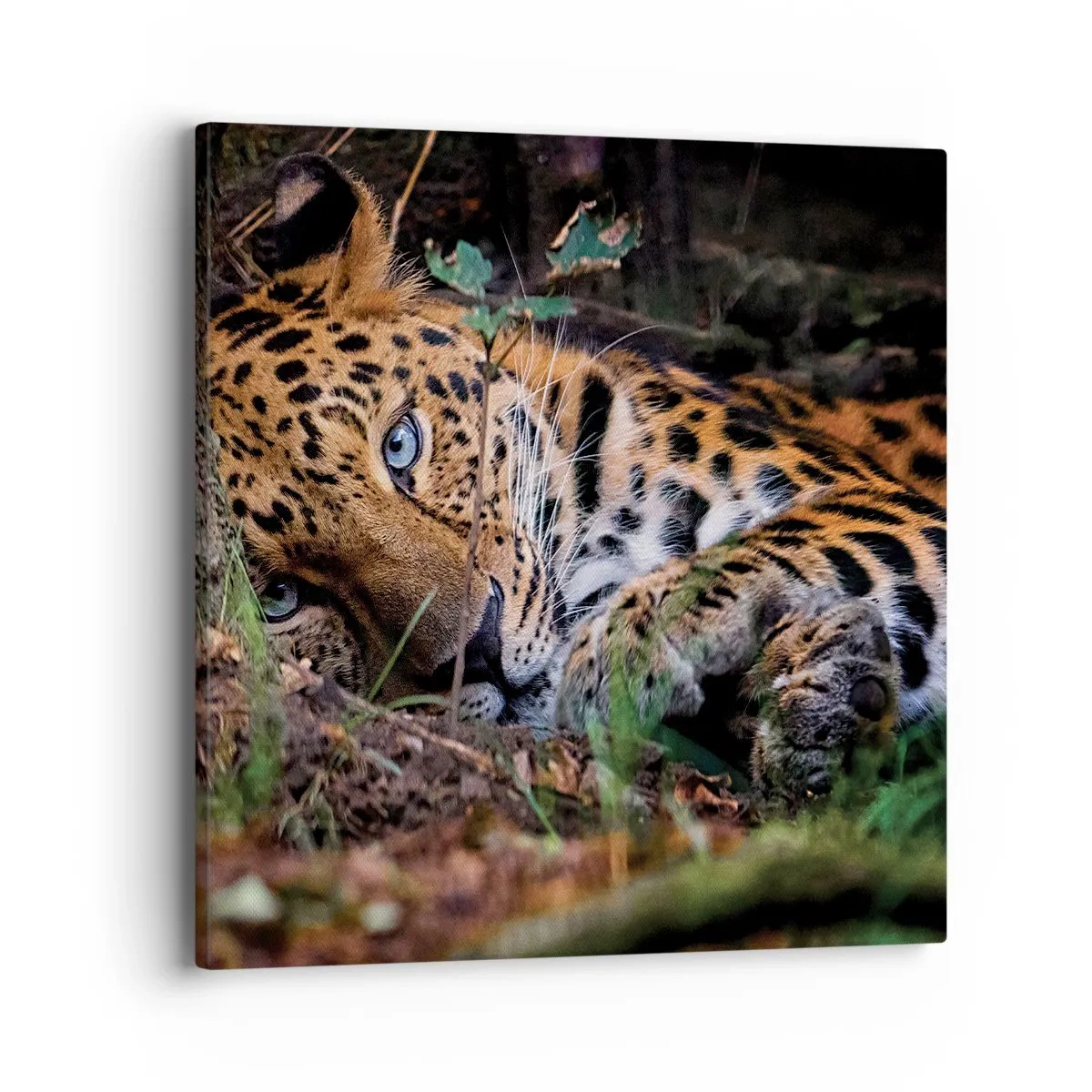 Obraz na płótnie - Zaufaj mi - 40x40 cm