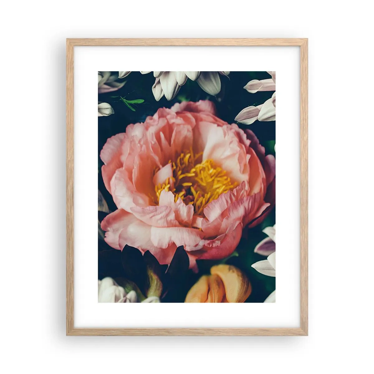 Plakat w ramie jasny dąb - Z barokowym przepychem - 40x50 cm