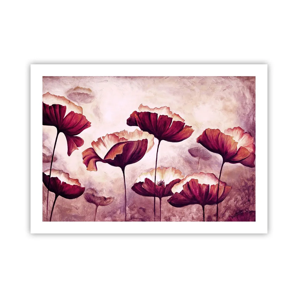 Plakat - Płatek czerwony i biały - 70x50 cm