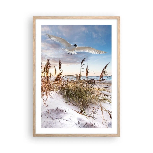 Plakat w ramie jasny dąb - Wiatr od morza - 50x70 cm