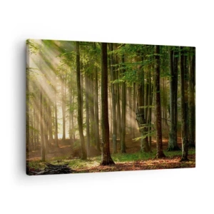 Obraz na płótnie - Promienie słońca przenikające przez drzewa w lesie - 70x50cm - Rozpromieniony w wiosenny poranek - Nowoczesna dekoracja ścienna do salonu i sypialni ARTTOR