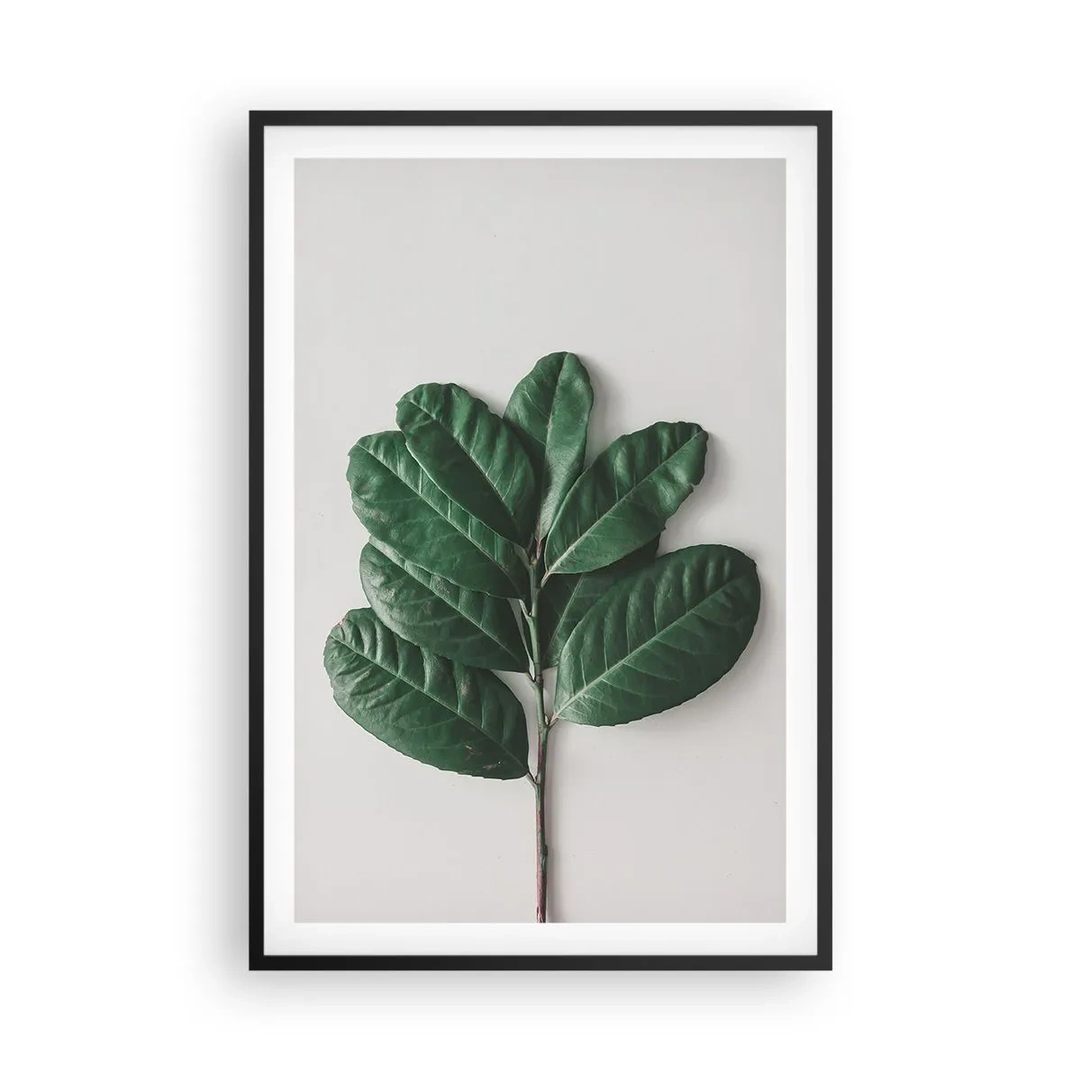 Plakat w czarnej ramie - Rysunek samej natury - 61x91 cm