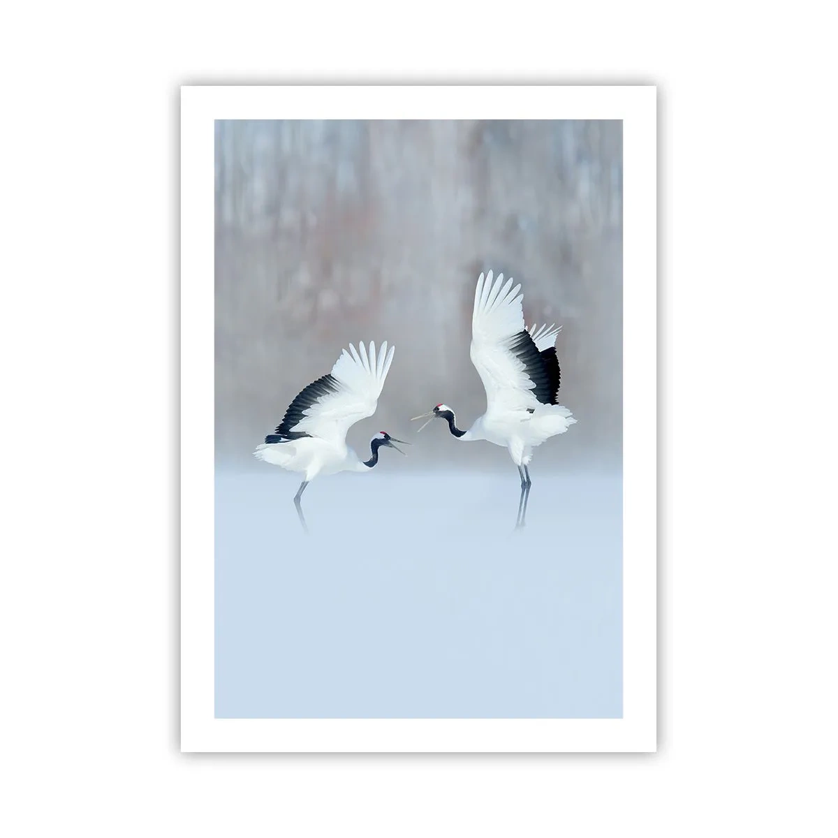 Plakat - Tańczące żurawie na tle zimowego pejzażu - 50x70cm - Taniec we mgle - Nowoczesna dekoracja ścienna do salonu, kuchni i sypialni ARTTOR