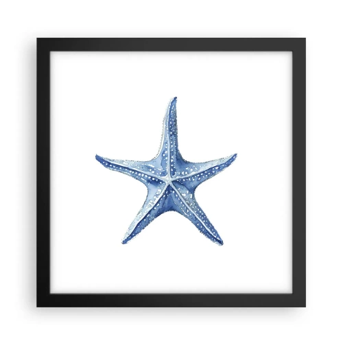 Plakat w czarnej ramie - Gwiazda morza - 30x30 cm