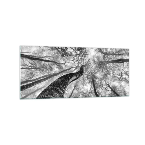 Obraz na szkle - Perspektywa drzew w lesie widzianych od dołu w odcieniach szarości - 120x50cm - Wyścig do światła - Nowoczesna dekoracja ścienna do salonu i sypialni ARTTOR