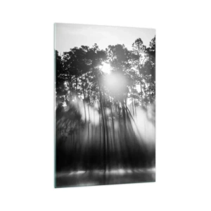Obraz na szkle - Czarno-biały las w porannej mgle - 70x100cm - Niepowstrzymane słońce - Nowoczesna dekoracja ścienna do salonu i sypialni ARTTOR