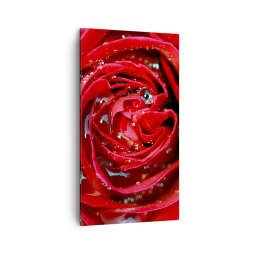 Obraz na płótnie - W kroplach rosy - 45x80 cm