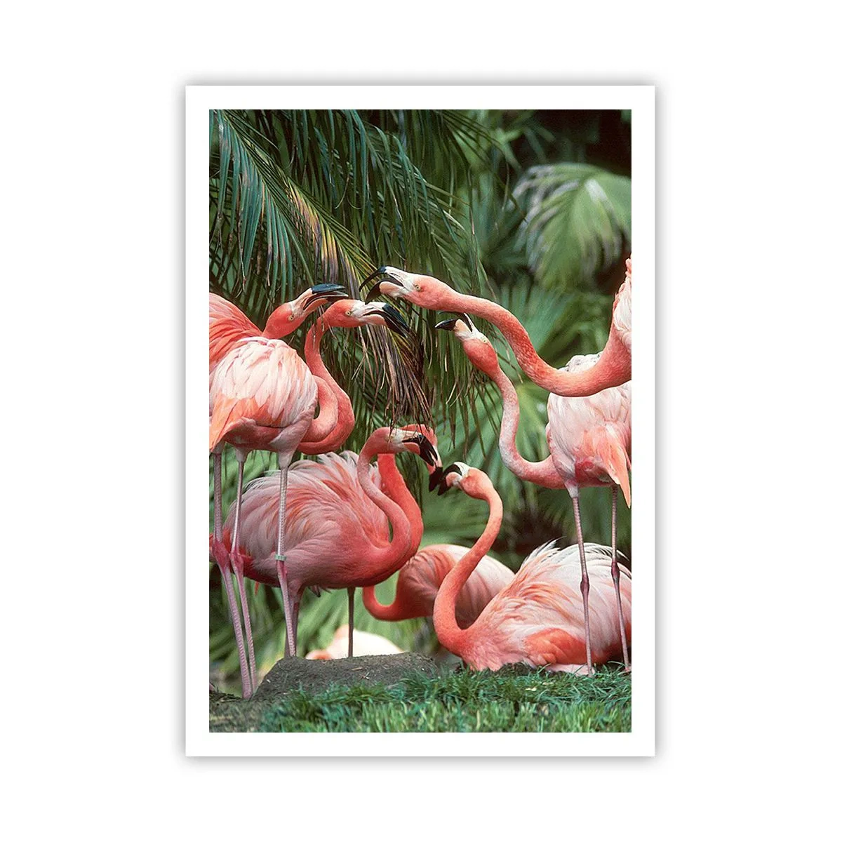 Plakat - Popołudniowe ploteczki - 70x100 cm