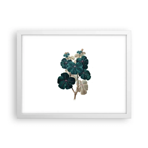 Plakat w białej ramie - Ze starego zielnika - 40x30 cm