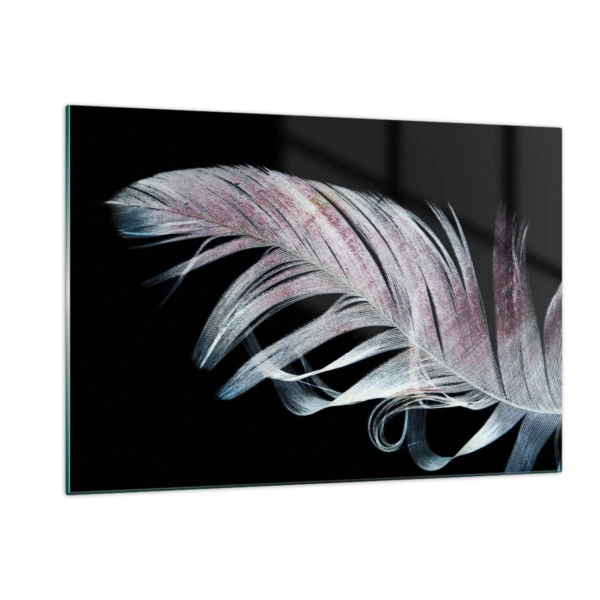 Obraz na szkle - Delikatne pióro na czarnym tle w artystycznym ujęciu - 120x80cm - Pomyśl o dotyku - Nowoczesna dekoracja ścienna do salonu, kuchni i sypialni ARTTOR
