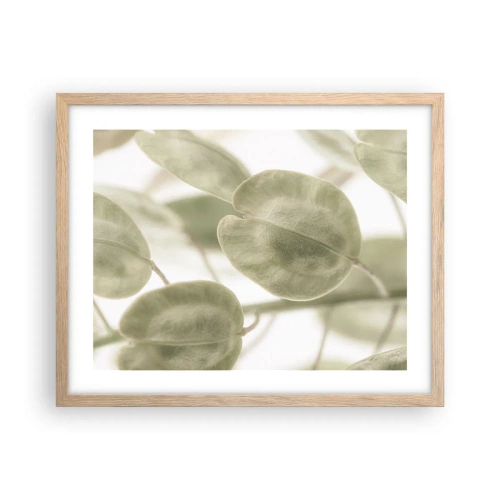 Plakat w ramie jasny dąb - Na początku były listki… - 50x40 cm