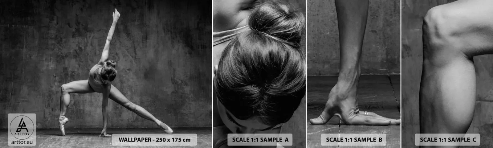 Fototapeta Próbka Standard Eco - Ideał równowagi - Gimnastyka, Balet, Taniec - 100x30 cm