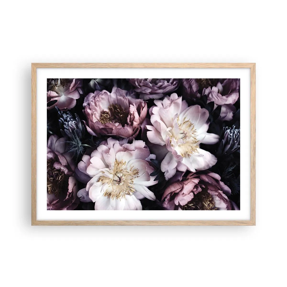 Plakat w ramie jasny dąb - Bukiet w dawnym stylu - 70x50 cm