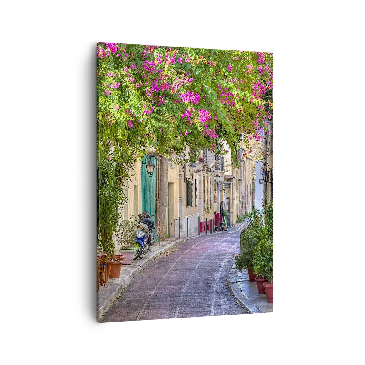 Obraz na płótnie - Ulica z kwitnącymi kwiatami - 50x70cm - Kwitnący zaułek - Nowoczesna dekoracja ścienna do salonu, kuchni i sypialni ARTTOR