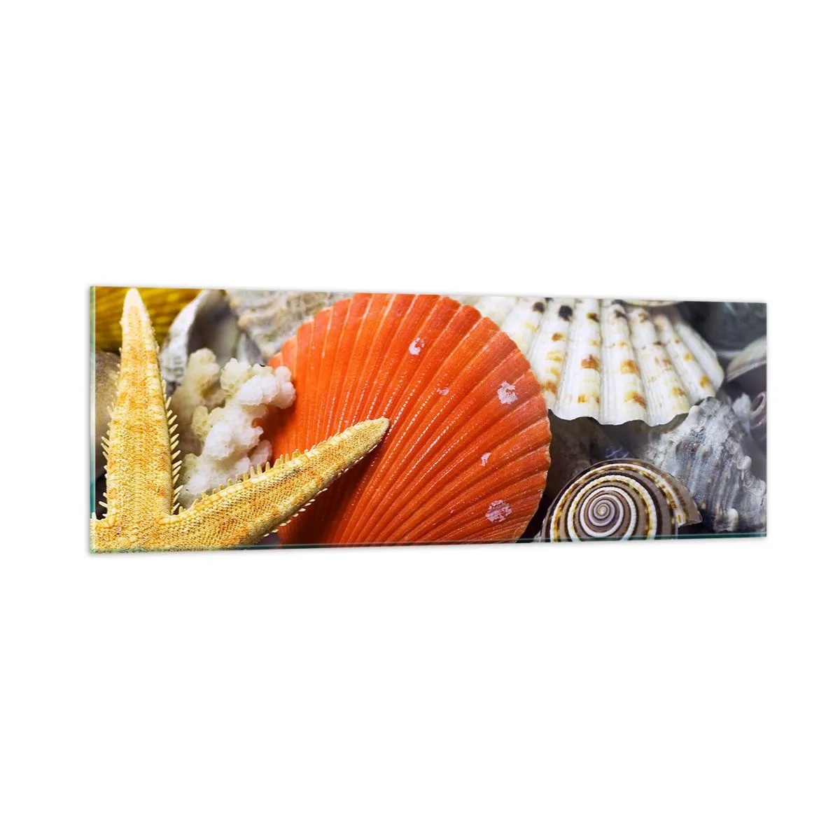 Obraz na szkle - Skarby oceanu - 90x30 cm