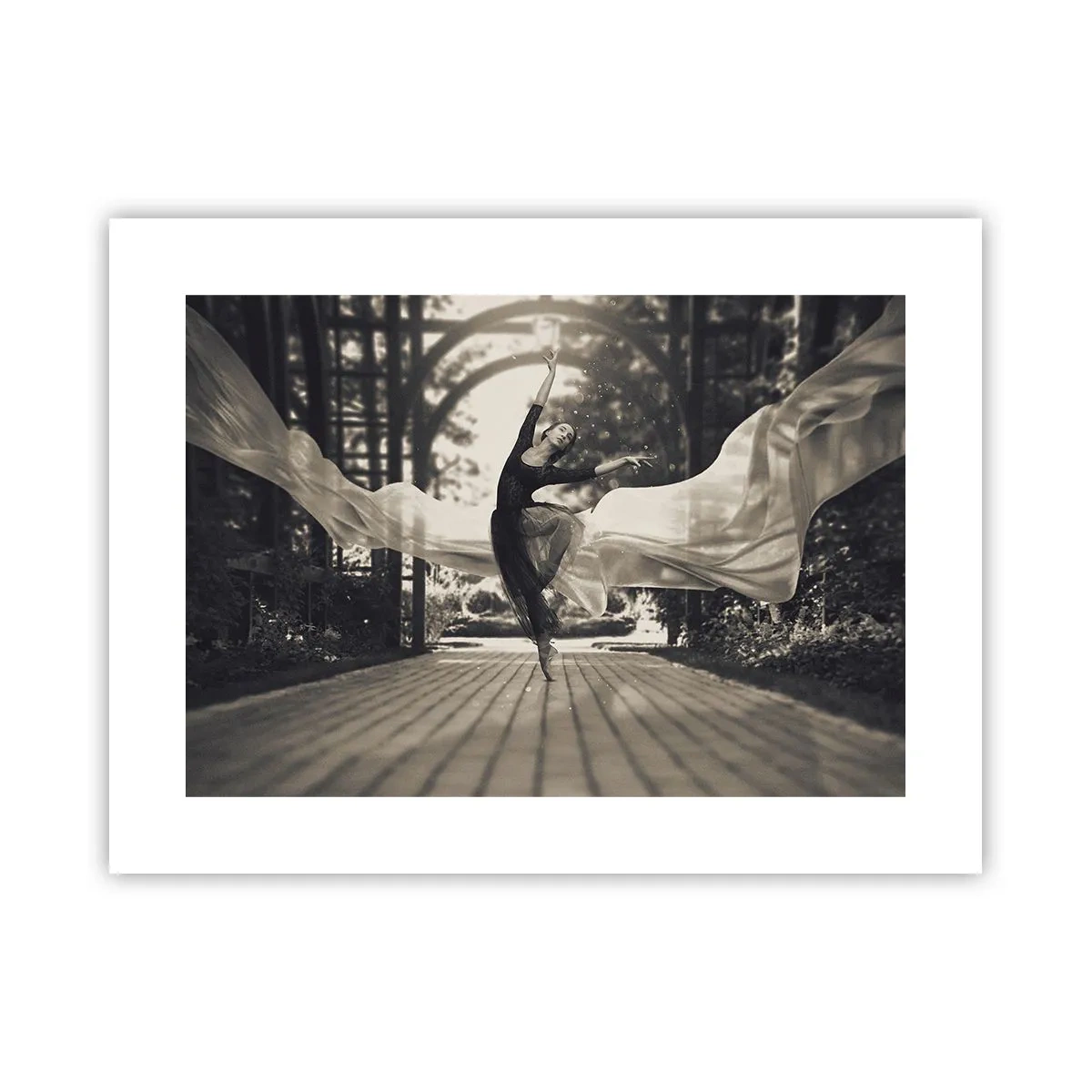 Plakat - Taniec ducha ogrodu - 40x30 cm