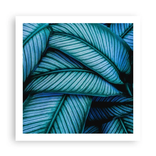 Plakat - Linie życia - 60x60 cm