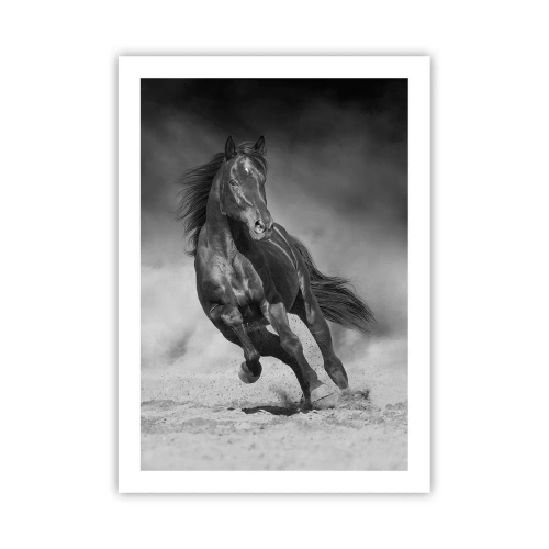 Plakat - Czarny koń w dynamicznym biegu - 50x70cm - Godny samego emira - Nowoczesna dekoracja ścienna do salonu, kuchni i sypialni ARTTOR