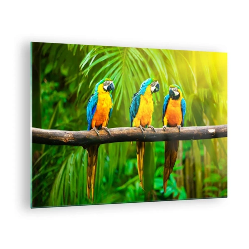 Obraz na szkle - Trzy papugi ara na gałęzi w tropikalnym lesie - 70x50cm - A słyszałaś, że ona…? - Nowoczesna dekoracja ścienna do salonu i sypialni ARTTOR