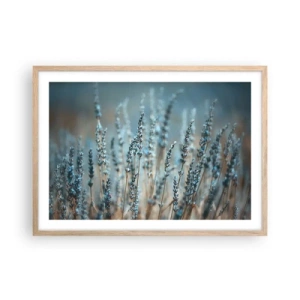 Plakat w ramie jasny dąb - Pachnący łan - 70x50 cm