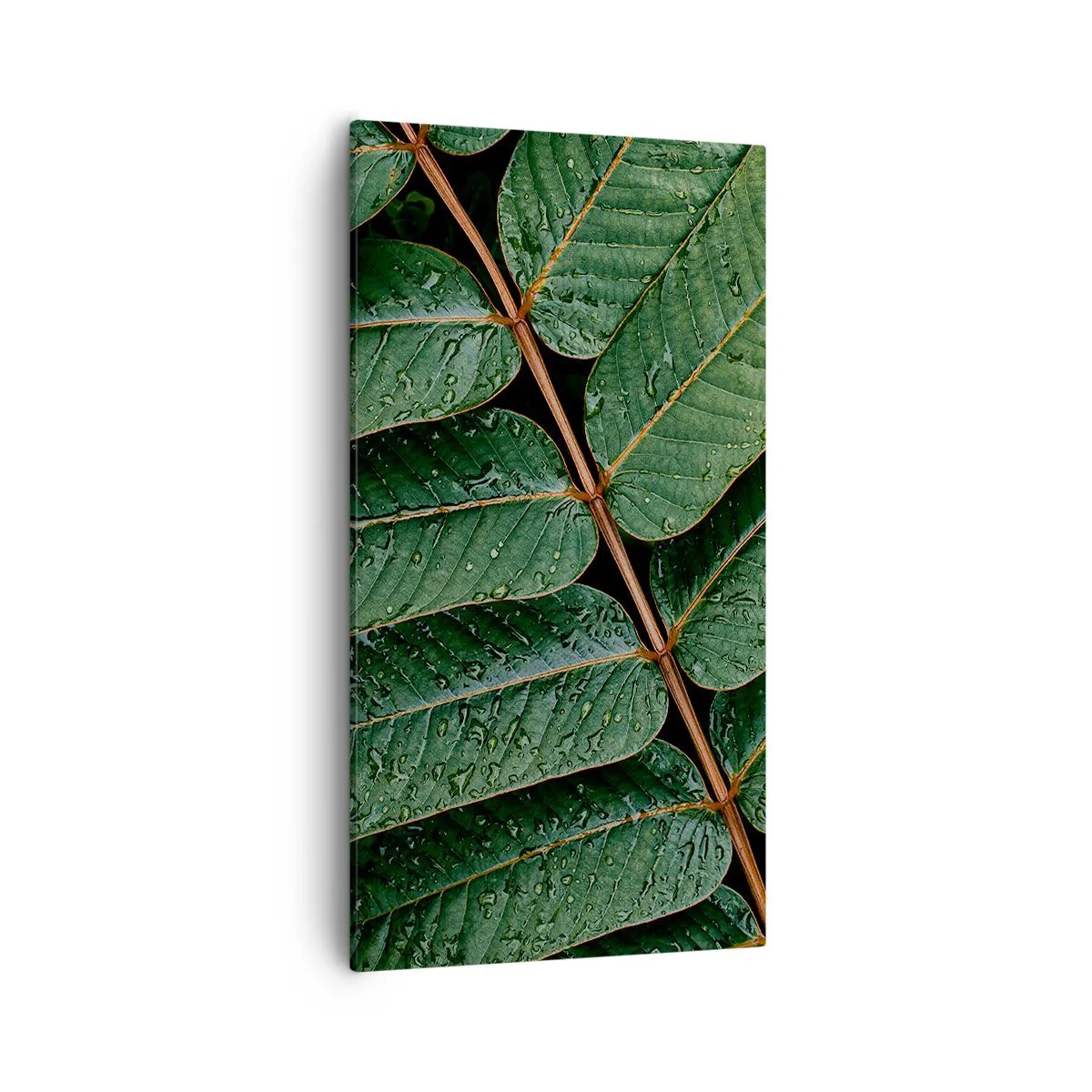 Obraz na płótnie - W zielonym rytmie - 55x100 cm