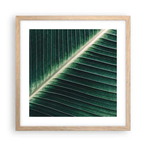 Plakat w ramie jasny dąb - Rytm natury - 40x40 cm