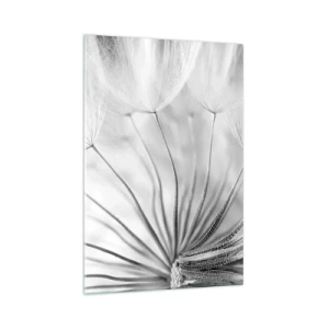 Obraz na szkle - Delikatne dmuchawce w czarno-białej tonacji - 70x100cm - Dmuchawce, latawce - Nowoczesna dekoracja ścienna do salonu i sypialni ARTTOR