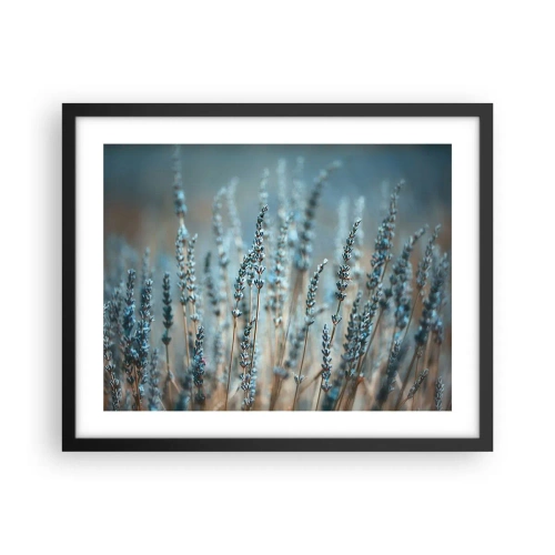 Plakat w czarnej ramie - Pachnący łan - 50x40 cm