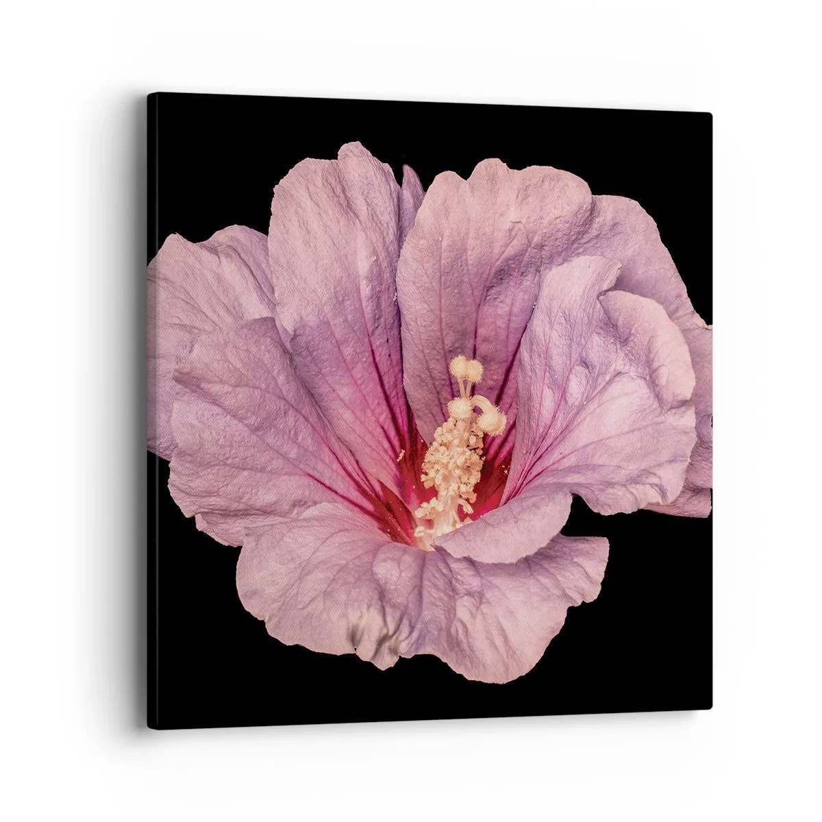 Obraz na płótnie - Prosto do serca - 40x40 cm