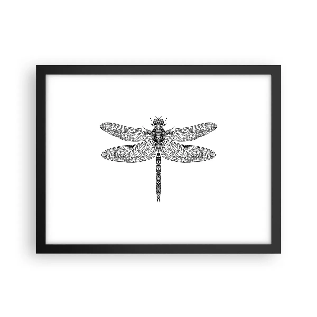 Plakat w czarnej ramie - Precyzja natury - 40x30 cm