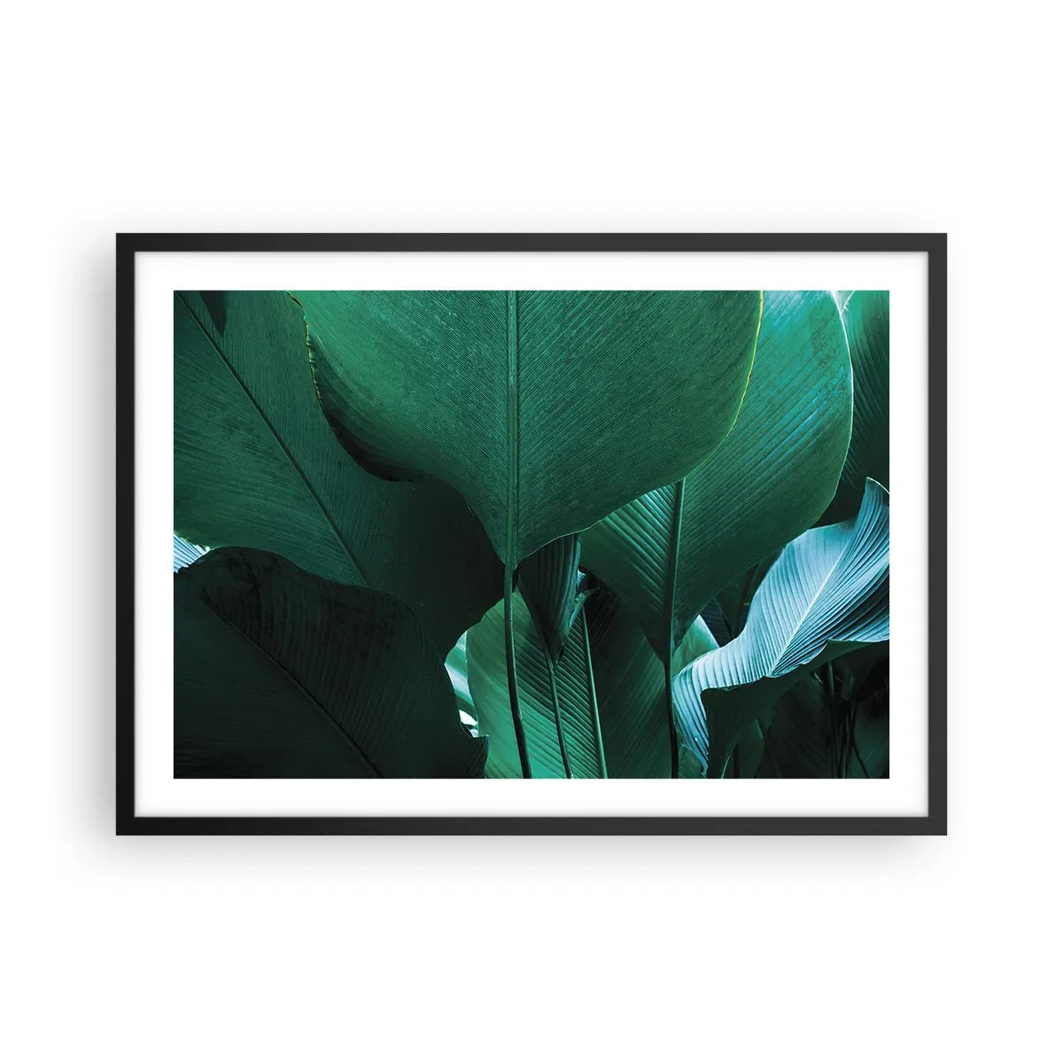 Plakat w czarnej ramie - Zielone liście w minimalistycznej kompozycji - 70x50cm - Zwrócone do światła - Nowoczesna dekoracja ścienna do salonu i sypialni ARTTOR