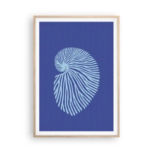 Plakat w ramie jasny dąb - Narodziny muszli - 70x100 cm