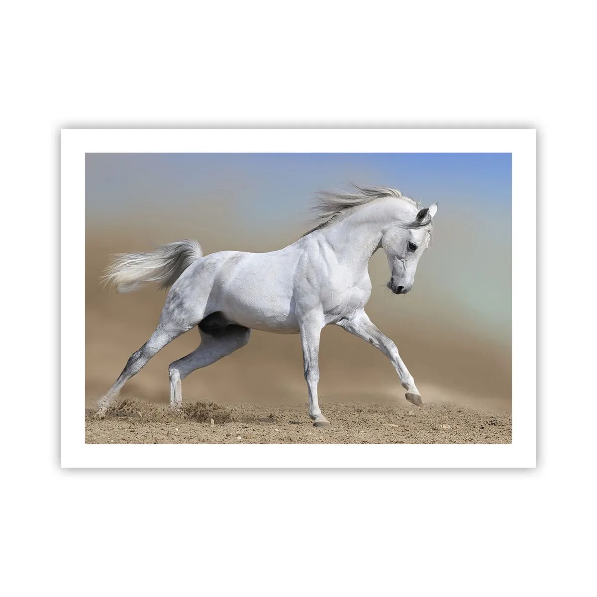Plakat - Najpiękniejsza arabska baśń - 70x50 cm