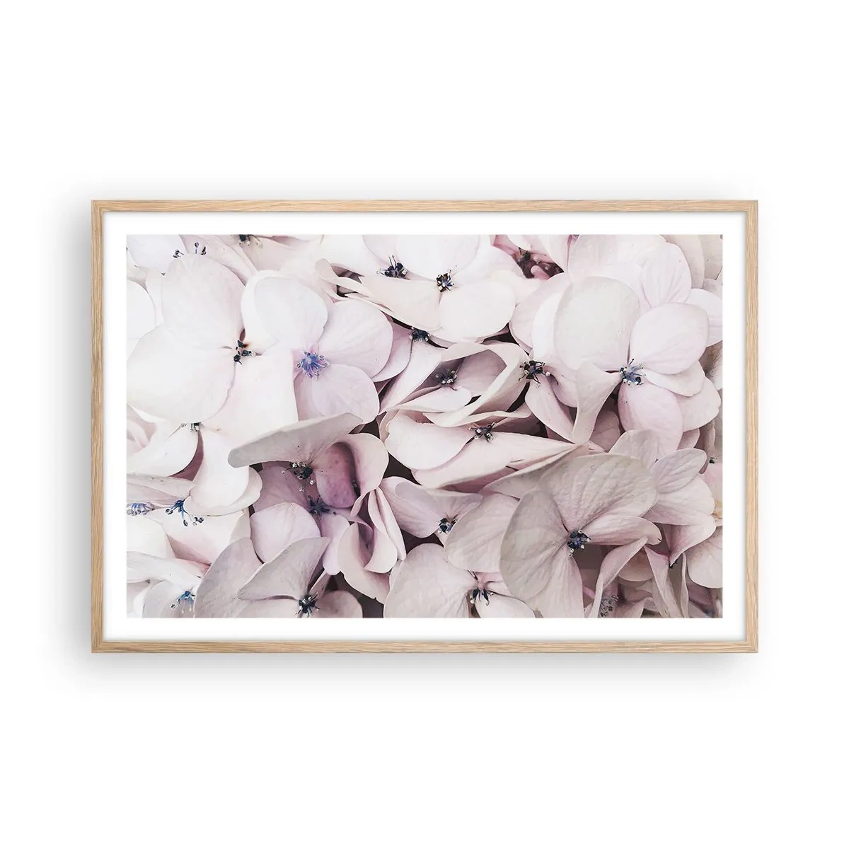 Plakat w ramie jasny dąb - W powodzi kwiatów - 91x61 cm