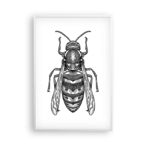 Plakat w białej ramie - Z owadziej planety - 61x91 cm