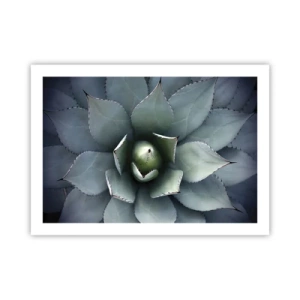 Plakat - Wabi i przestrzega - 70x50 cm