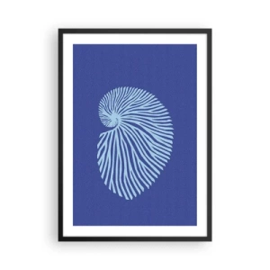 Plakat w czarnej ramie - Stylizowana grafika muszli w spiralnym układzie - 50x70cm - Narodziny muszli - Nowoczesna dekoracja ścienna do salonu i sypialni ARTTOR