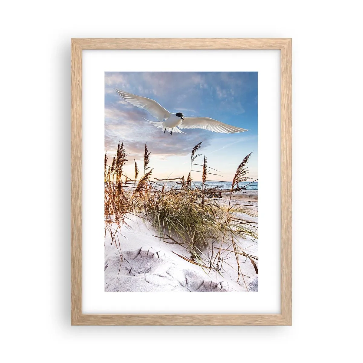 Plakat w ramie jasny dąb - Wiatr od morza - 30x40 cm