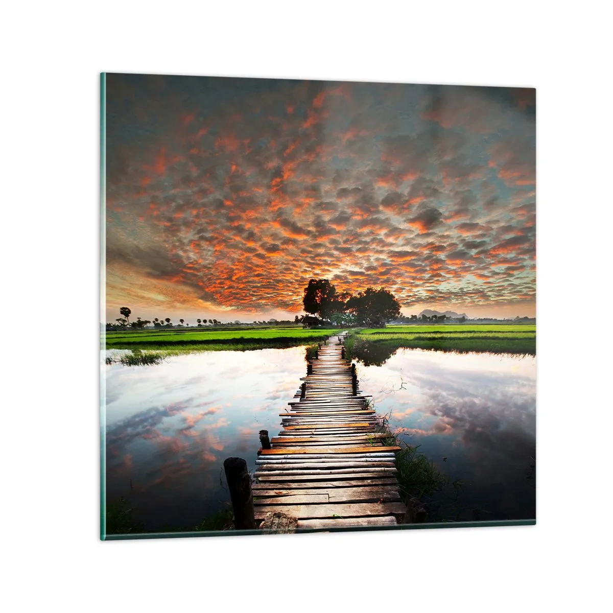 Obraz na szkle - Rozłóż ramiona - oddychaj  - 50x50 cm