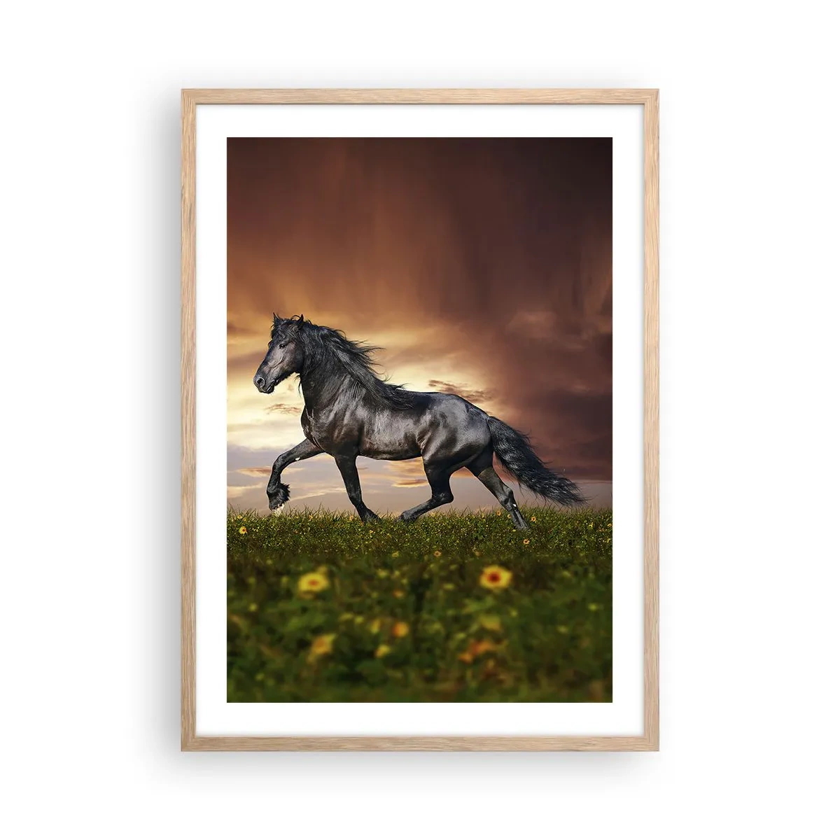 Plakat w ramie jasny dąb - Czarny książę - 50x70 cm