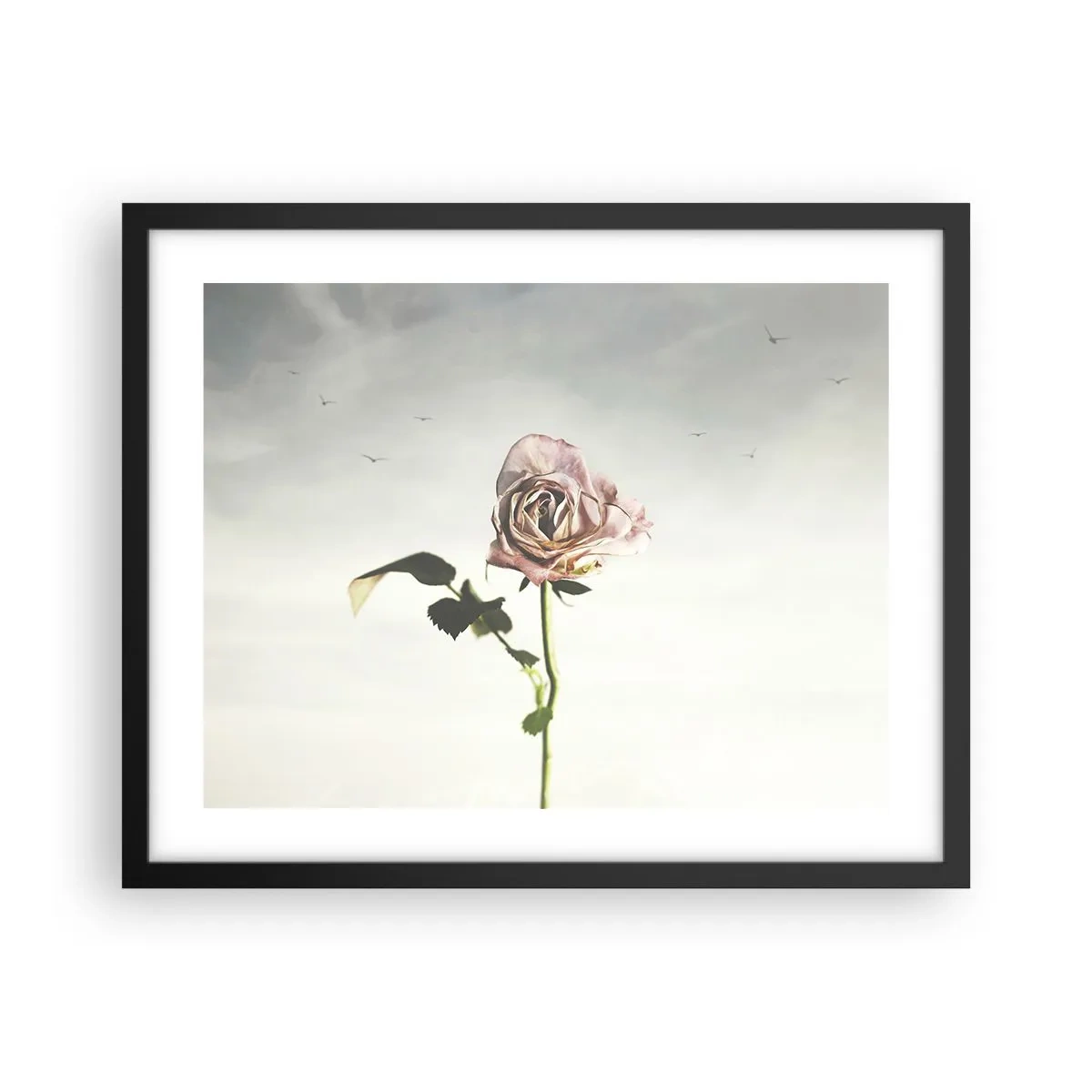 Plakat w czarnej ramie - Powitanie wiosny - 50x40 cm