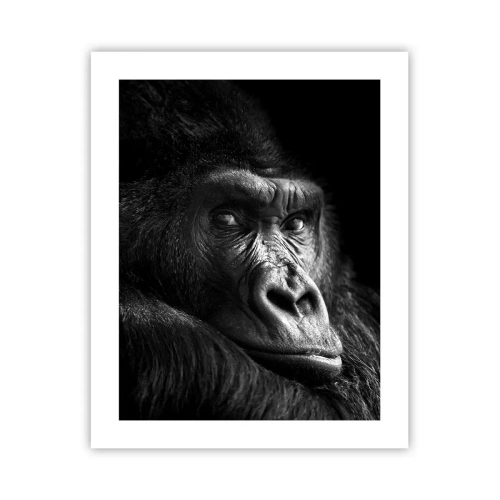 Plakat - I co się patrzysz? - 40x50 cm