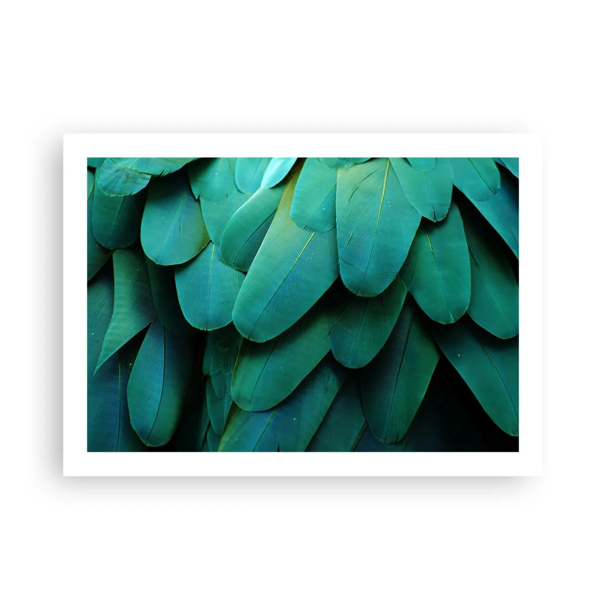 Plakat - Precyzja papuziej natury - 70x50 cm