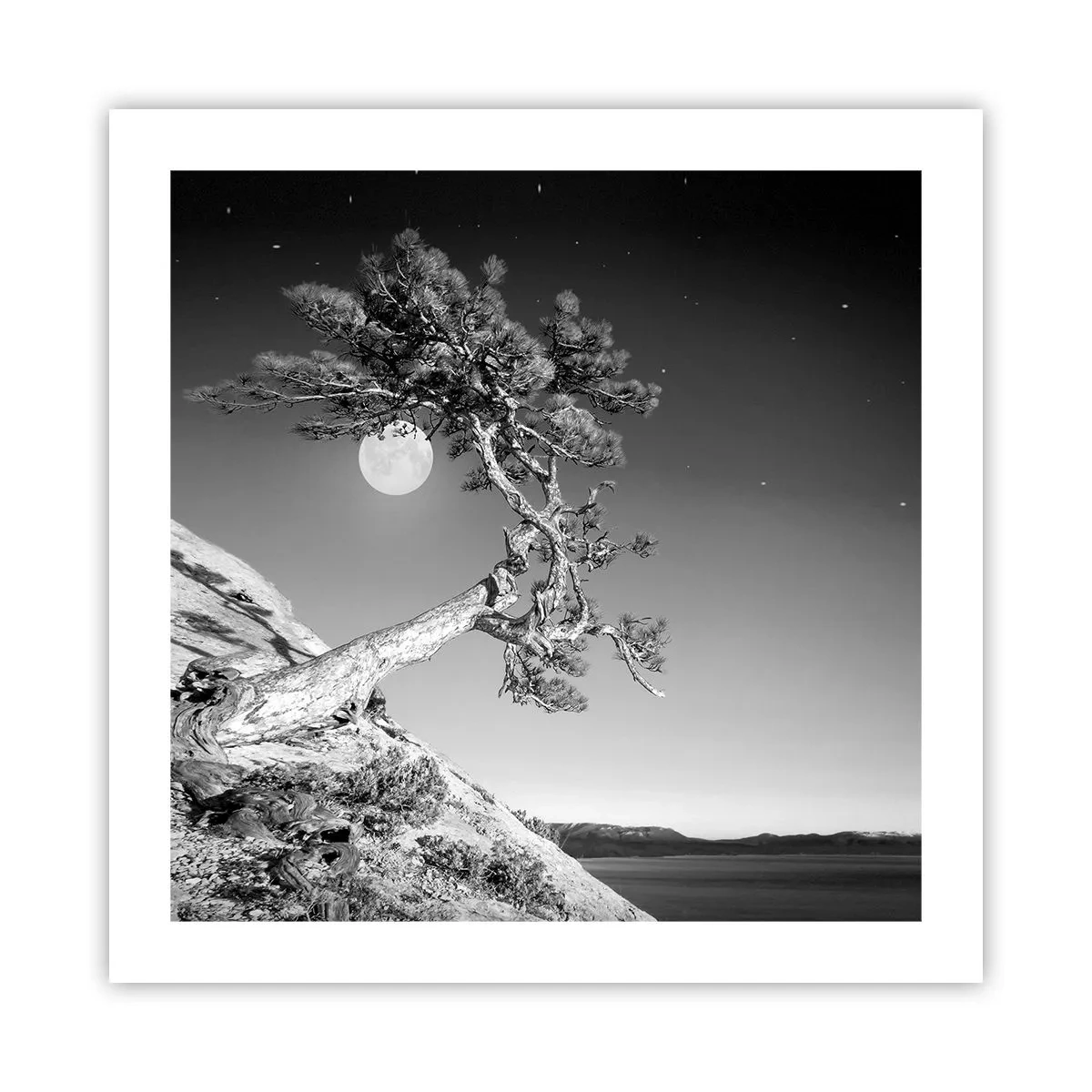 Plakat - Zwycięska wojowniczka - 50x50 cm