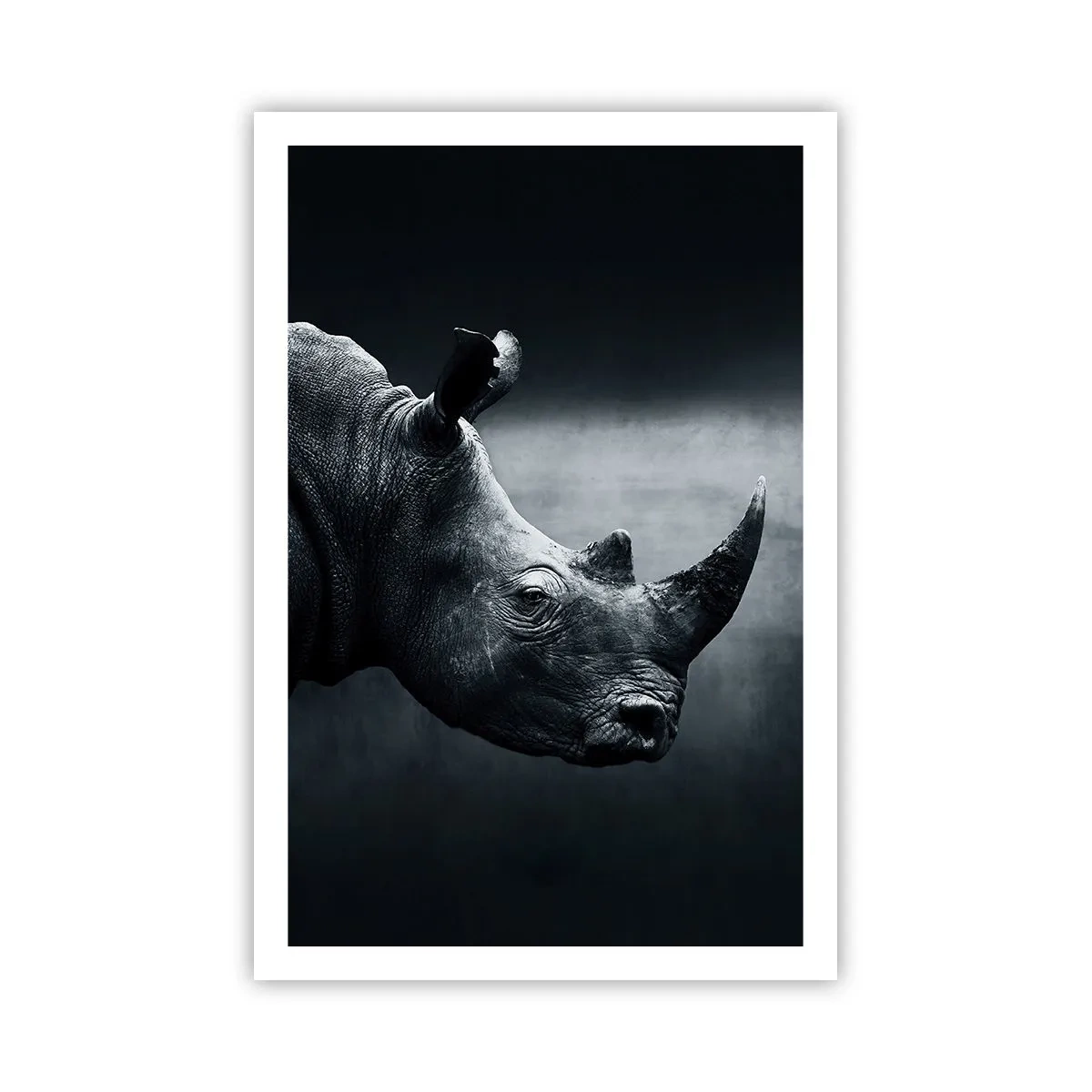 Plakat - Prawy profil - 61x91 cm