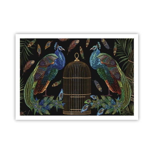 Plakat - Pawie przy złotej klatce na czarnym tle - 100x70cm - W królewskich szatach - Nowoczesna dekoracja ścienna do salonu i sypialni ARTTOR